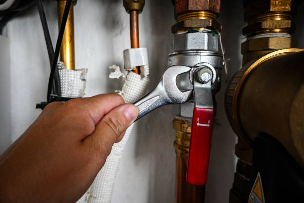 Best Residential Plumbing Services  in Okemos, MI